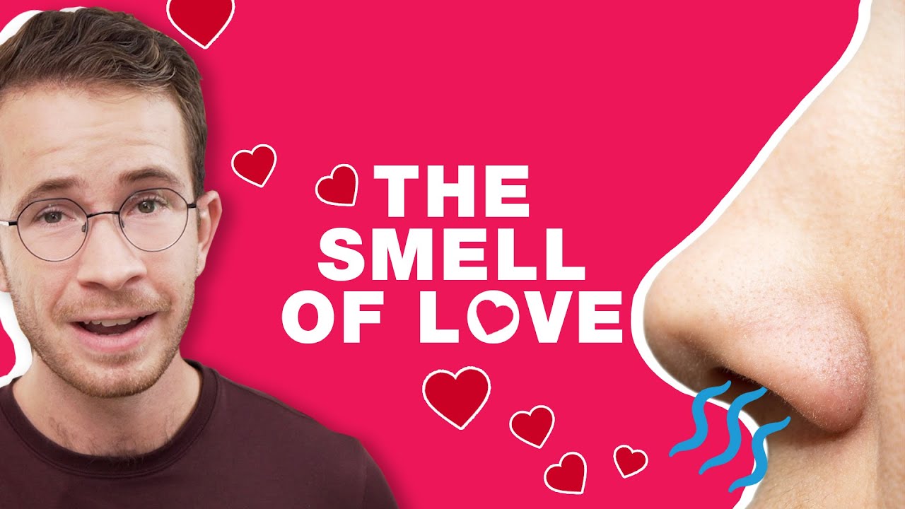 Are Pheromones Real? (The Truth Revealed)