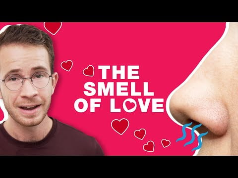 Are Pheromones Real? (The Truth Revealed)