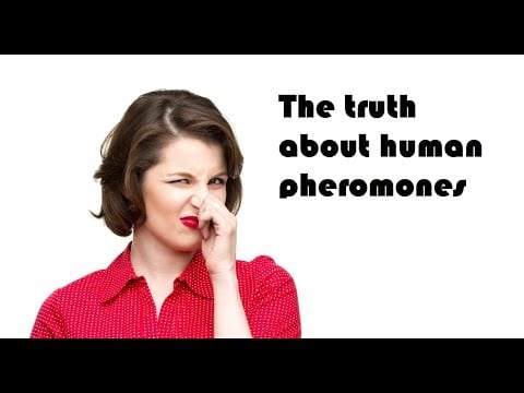 The truth about human pheromones